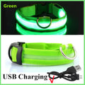 Collier LED pour chien
