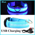 Collier LED pour chien
