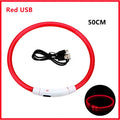 Collier LED pour chien