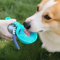 Bouteille d'eau sphérique portable pour chiens – avec bol pliable intégré