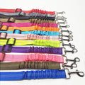Ceinture de sécurité ajustable pour chien en voiture