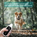 Collier d’entraînement rechargeable pour chien avec télécommande