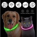 Collier LED pour chien
