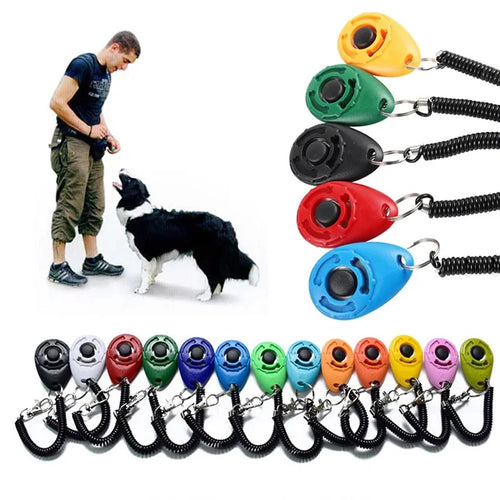 Clicker d’entraînement pour chien