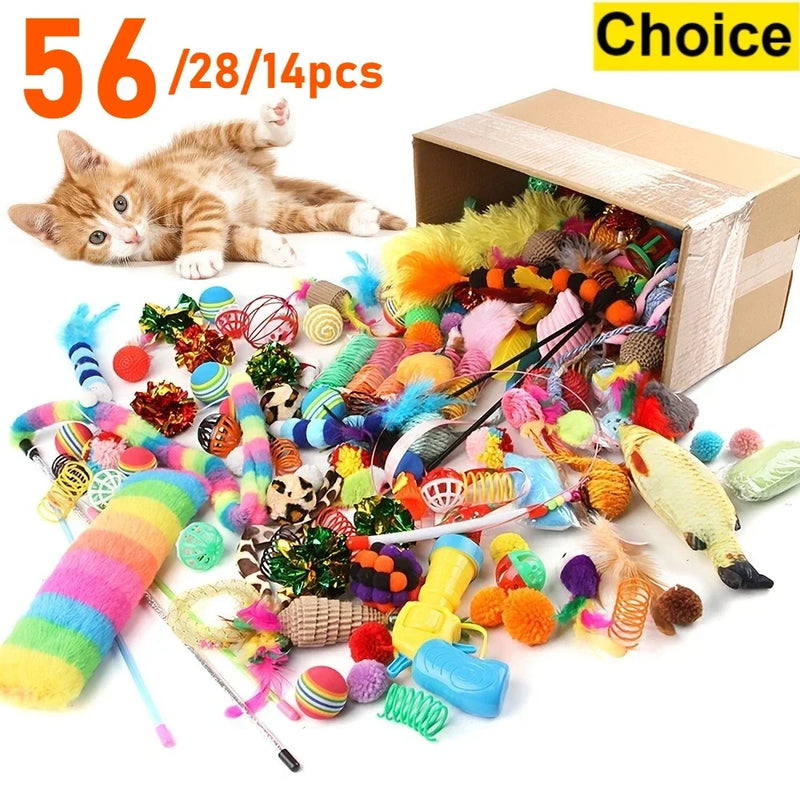 Ensemble de Jouets Variés pour Chats – 14, 28 ou 56 Pièces