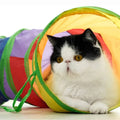 Tunnel de Jeu Pliable pour Chat et Petit Chien