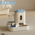Distributeur automatique de nourriture et fontaine d'eau pour chiens et chats