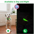 Collier LED pour chien