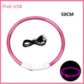 Collier LED pour chien