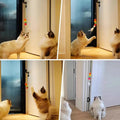 Jouet Suspendu avec Plume, Balle et Chenille pour Chat