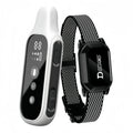 Collier d’entraînement rechargeable pour chien avec télécommande