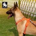 Harnais anti-traction ajustable pour chien TRUE LOVE