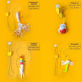 Jouet Suspendu avec Plume, Balle et Chenille pour Chat