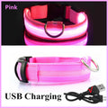 Collier LED pour chien