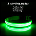 Collier LED pour chien