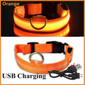 Collier LED pour chien