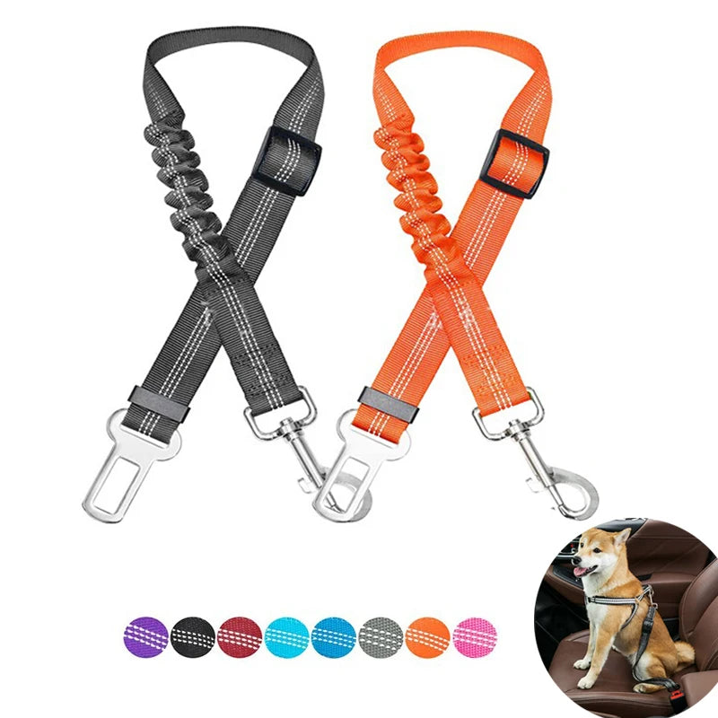 Ceinture de sécurité ajustable pour chien en voiture