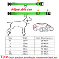 Collier LED pour chien