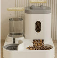 Distributeur automatique de nourriture et fontaine d'eau pour chiens et chats