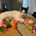 Ensemble de Jouets Variés pour Chats – 14, 28 ou 56 Pièces